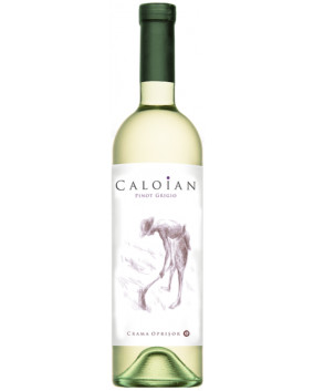 Caloian Pinot Grigio 2020 | Crama Oprisor | Plaiurile Drancei